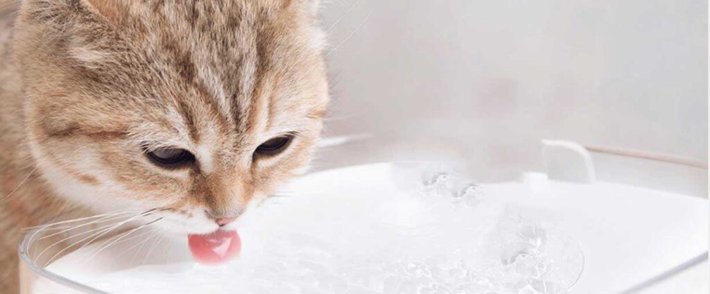 آبخوری هوشمند حیوانات شیائومی مدل Mi Pet Pet Fountain